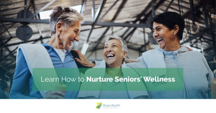 Graphic design with the phrase Learn How to Nurture Seniors' Wellness